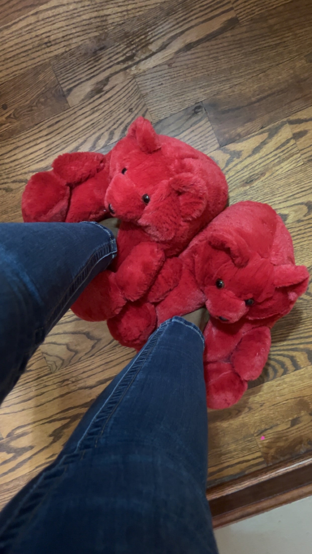 Teddy slippers